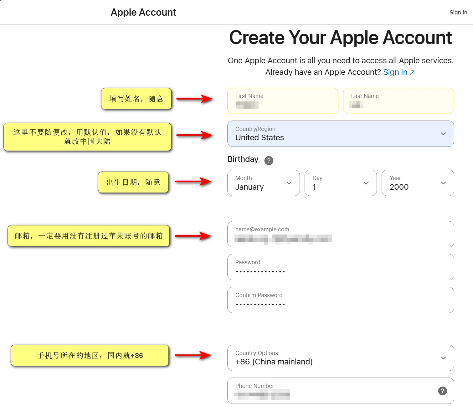 Apple Account 注册表单字段说明
